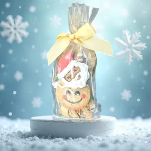 sachet biscuit noel
