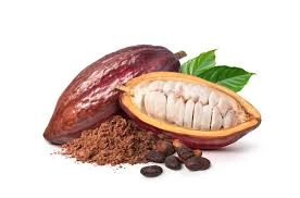 cacao